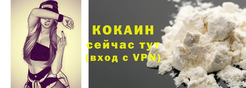 Cocaine FishScale  закладка  OMG ссылка  Нефтекамск 