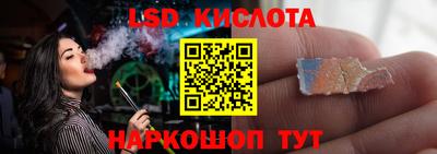прущие грибы Камышлов
